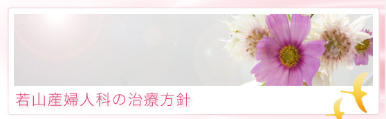 東洋医学による治療法 婦人科 不妊症 治療